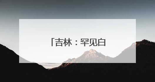 吉林：罕见白鸬鹚连续两年“故地重游”