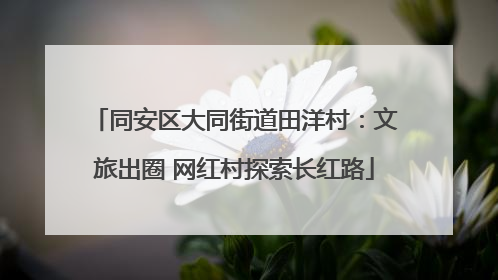 同安区大同街道田洋村：文旅出圈 网红村探索长红路