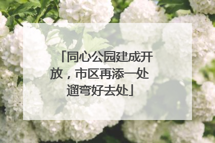 同心公园建成开放，市区再添一处遛弯好去处
