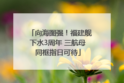 向海图强！福建舰下水3周年 三航母同框指日可待