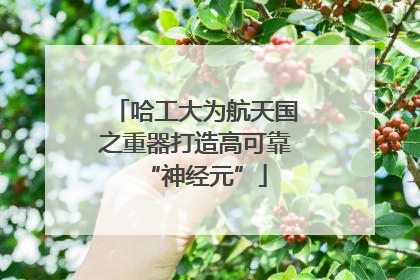 哈工大为航天国之重器打造高可靠“神经元”