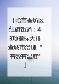 哈市香坊区红旗街道：43项指标大排查城市治理“有数有温度”