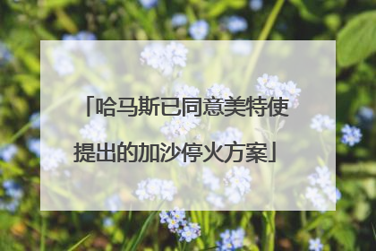 哈马斯已同意美特使提出的加沙停火方案