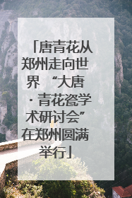 唐青花从郑州走向世界 “大唐・青花瓷学术研讨会”在郑州圆满举行