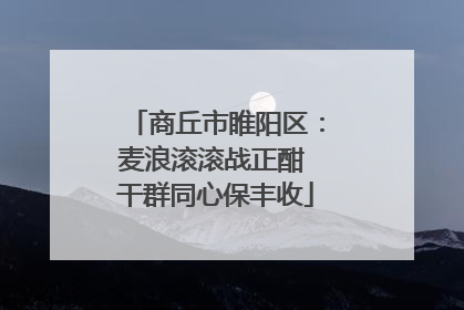 商丘市睢阳区：麦浪滚滚战正酣 干群同心保丰收