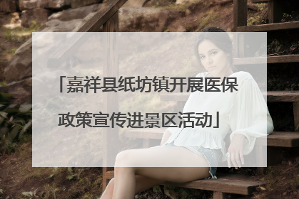 嘉祥县纸坊镇开展医保政策宣传进景区活动