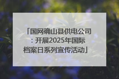 国网确山县供电公司：开展2025年国际档案日系列宣传活动