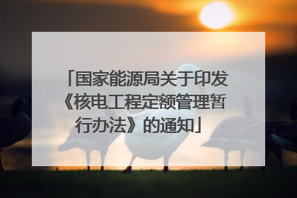 国家能源局关于印发《核电工程定额管理暂行办法》的通知