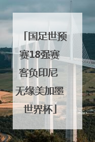 国足世预赛18强赛客负印尼 无缘美加墨世界杯