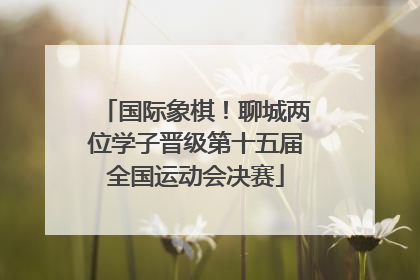 国际象棋！聊城两位学子晋级第十五届全国运动会决赛