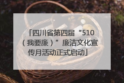 四川省第四届“510（我要廉）”廉洁文化宣传月活动正式启动