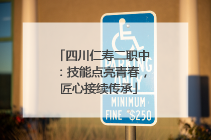 四川仁寿二职中：技能点亮青春，匠心接续传承