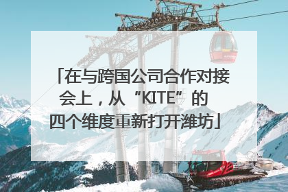 在与跨国公司合作对接会上，从“KITE”的四个维度重新打开潍坊