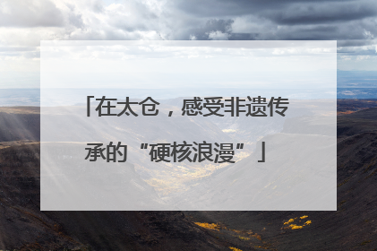 在太仓，感受非遗传承的“硬核浪漫”