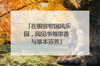 在铜官窑国风乐园，闻见书卷墨香与草本芬芳