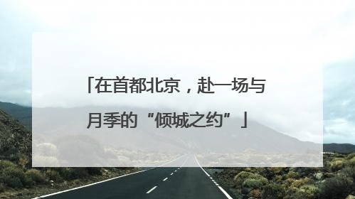 在首都北京，赴一场与月季的“倾城之约”