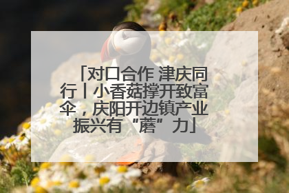 对口合作 津庆同行丨小香菇撑开致富伞，庆阳开边镇产业振兴有“蘑”力