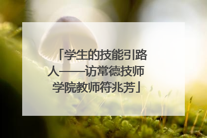 学生的技能引路人——访常德技师学院教师符兆芳