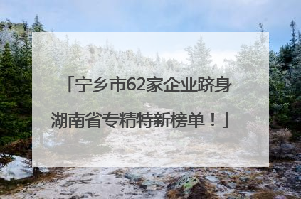 宁乡市62家企业跻身湖南省专精特新榜单！