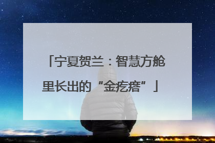 宁夏贺兰：智慧方舱里长出的“金疙瘩”
