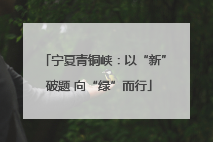 宁夏青铜峡：以“新”破题 向“绿”而行