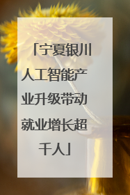 宁夏银川人工智能产业升级带动就业增长超千人