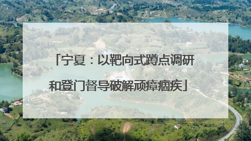 宁夏：以靶向式蹲点调研和登门督导破解顽瘴痼疾