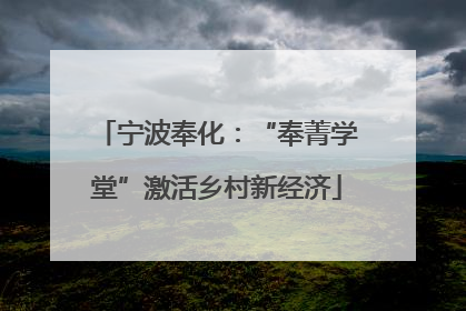 宁波奉化：“奉菁学堂”激活乡村新经济