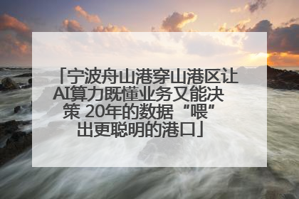 宁波舟山港穿山港区让AI算力既懂业务又能决策 20年的数据“喂”出更聪明的港口