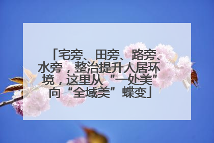宅旁、田旁、路旁、水旁，整治提升人居环境，这里从“一处美”向“全域美”蝶变