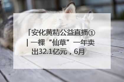 安化黄精公益直播①｜一棵“仙草”一年卖出32.1亿元，6月26日10:00新湖南直播揭秘安化黄精变黄金的“密码”