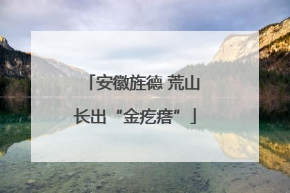 安徽旌德 荒山长出“金疙瘩”