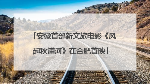 安徽首部新文旅电影《风起秋浦河》在合肥首映
