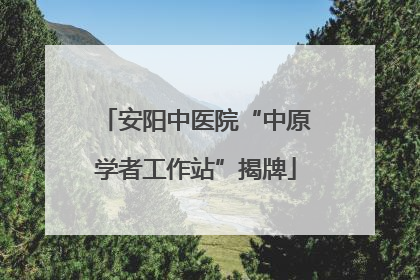 安阳中医院“中原学者工作站”揭牌