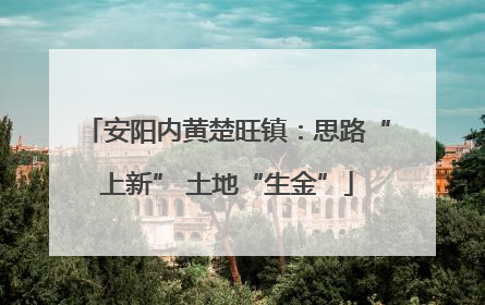安阳内黄楚旺镇：思路“上新” 土地“生金”