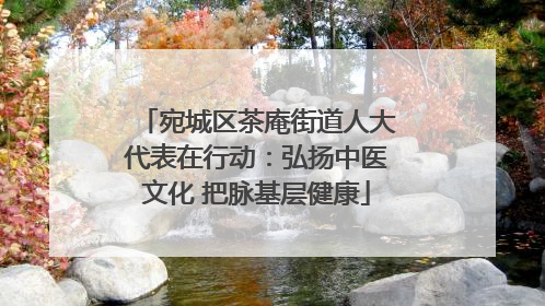 宛城区茶庵街道人大代表在行动：弘扬中医文化 把脉基层健康