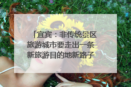 宜宾：非传统景区旅游城市要走出一条新旅游目的地新路子｜话锦绣·说安逸