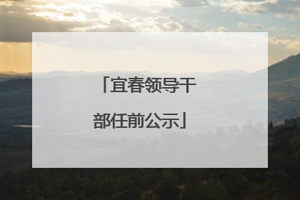 宜春领导干部任前公示
