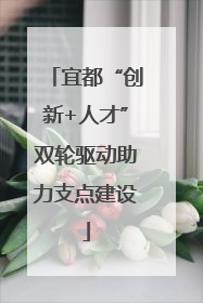 宜都“创新+人才”双轮驱动助力支点建设