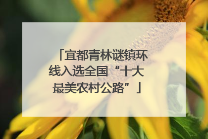 宜都青林谜镇环线入选全国“十大最美农村公路”