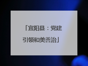 宜阳县：党建引领和美善治
