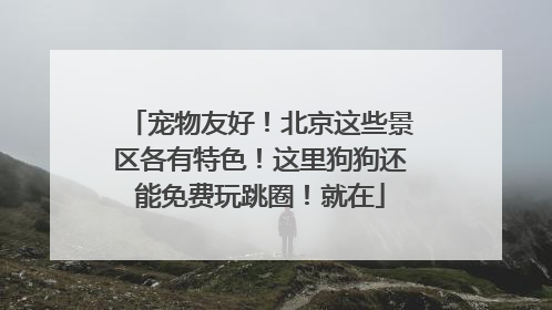 宠物友好！北京这些景区各有特色！这里狗狗还能免费玩跳圈！就在