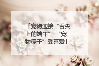 宠物迎接“舌尖上的端午” “宠物粽子”受喜爱
