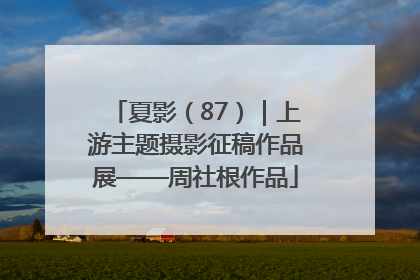 夏影（87）｜上游主题摄影征稿作品展——周社根作品