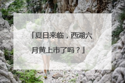 夏日来临，西湖六月黄上市了吗？