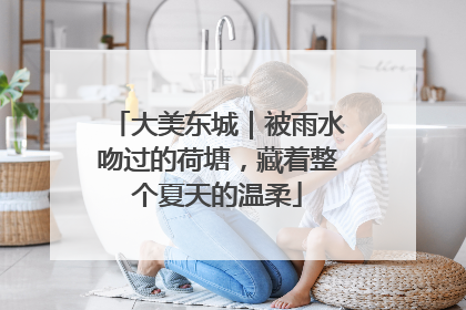 大美东城｜被雨水吻过的荷塘，藏着整个夏天的温柔