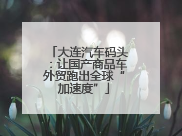 大连汽车码头：让国产商品车外贸跑出全球“加速度”
