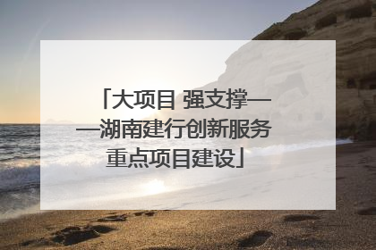 大项目 强支撑——湖南建行创新服务重点项目建设