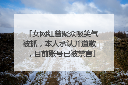 女网红曾聚众吸笑气被抓，本人承认并道歉，目前账号已被禁言