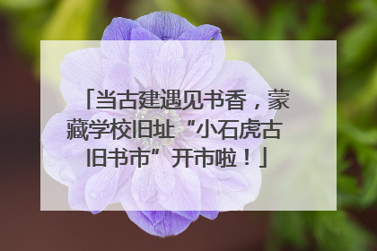 当古建遇见书香，蒙藏学校旧址“小石虎古旧书市”开市啦！